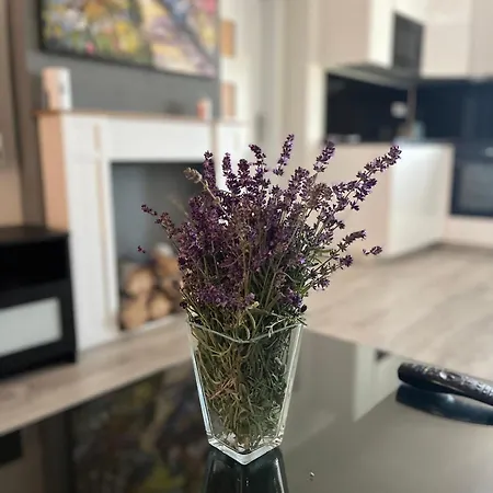 Golden Prague 78 Apartament